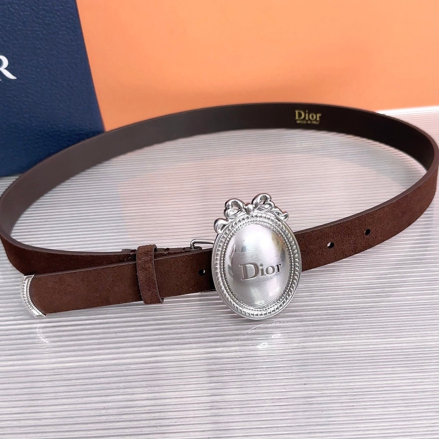 Dior 2026 Medaillon Belt 25mm Suede 218667