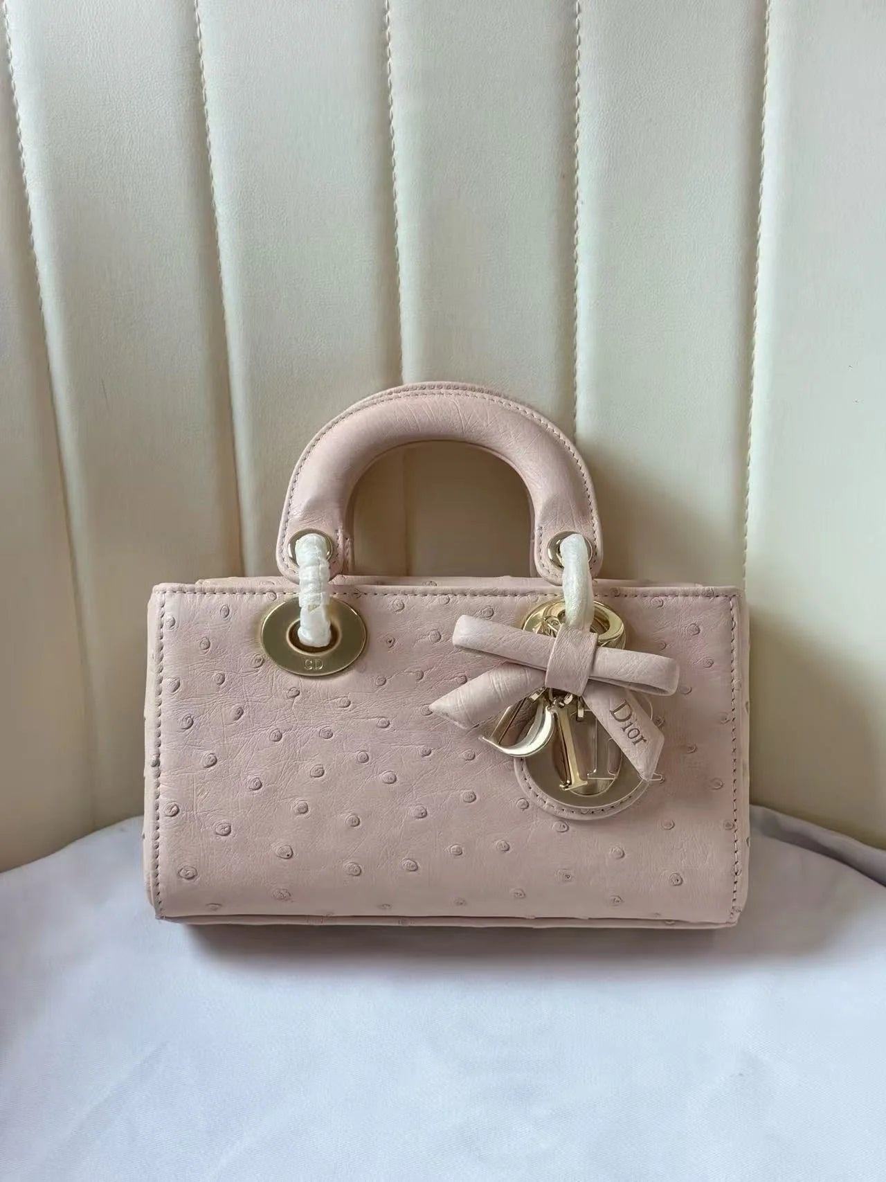 Dior 2026 Lady D-Joy Bag 19cm Ostrich Leather