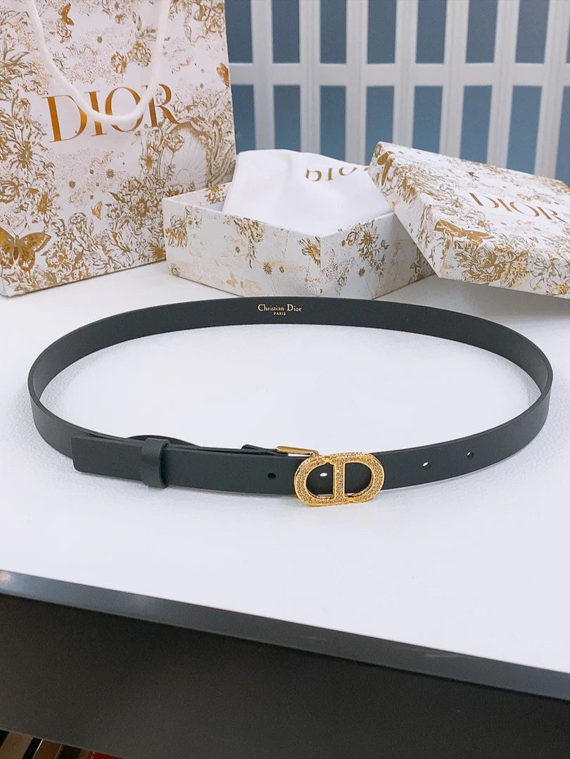 Dior Crystal Buckle Belt 30mm Smooth Calfskin 186307