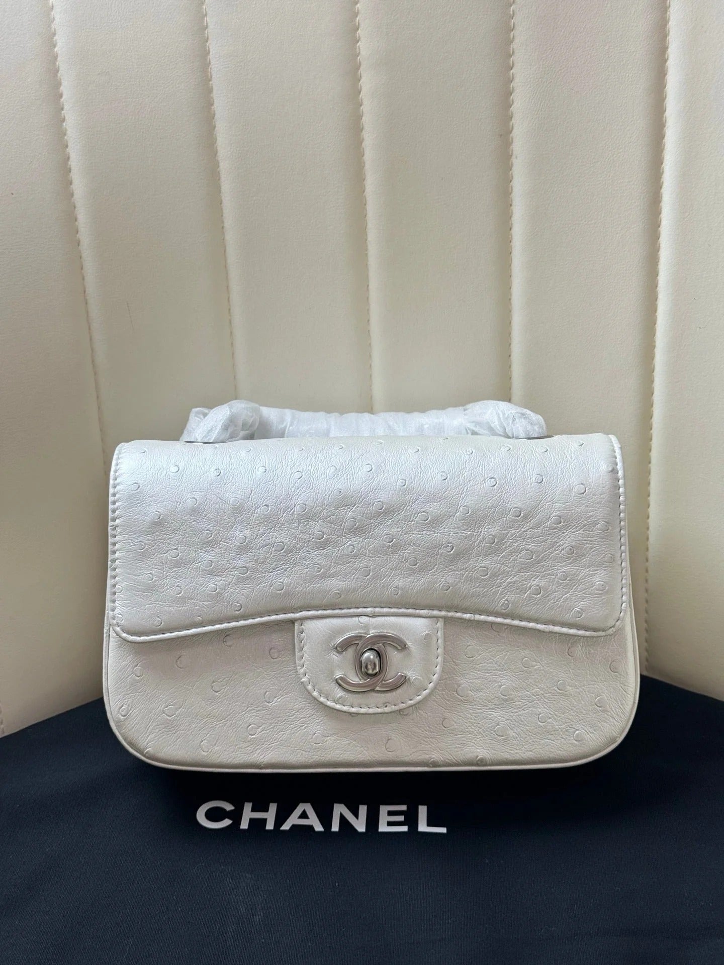 Chanel 2026 Flap Ostrich Embossed Bag 20cm Leather