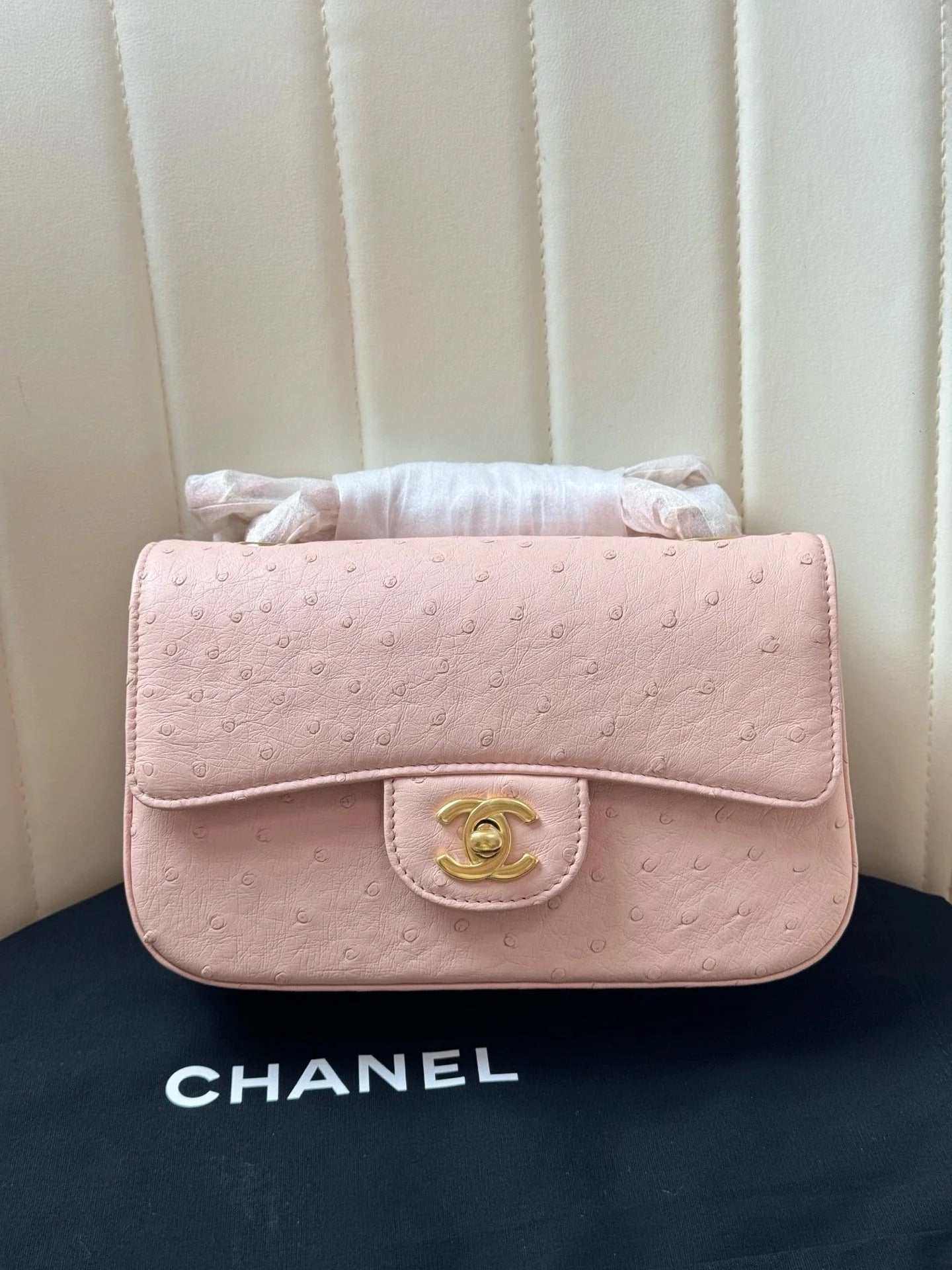 Chanel 2026 Flap Ostrich Embossed Bag 20cm Leather