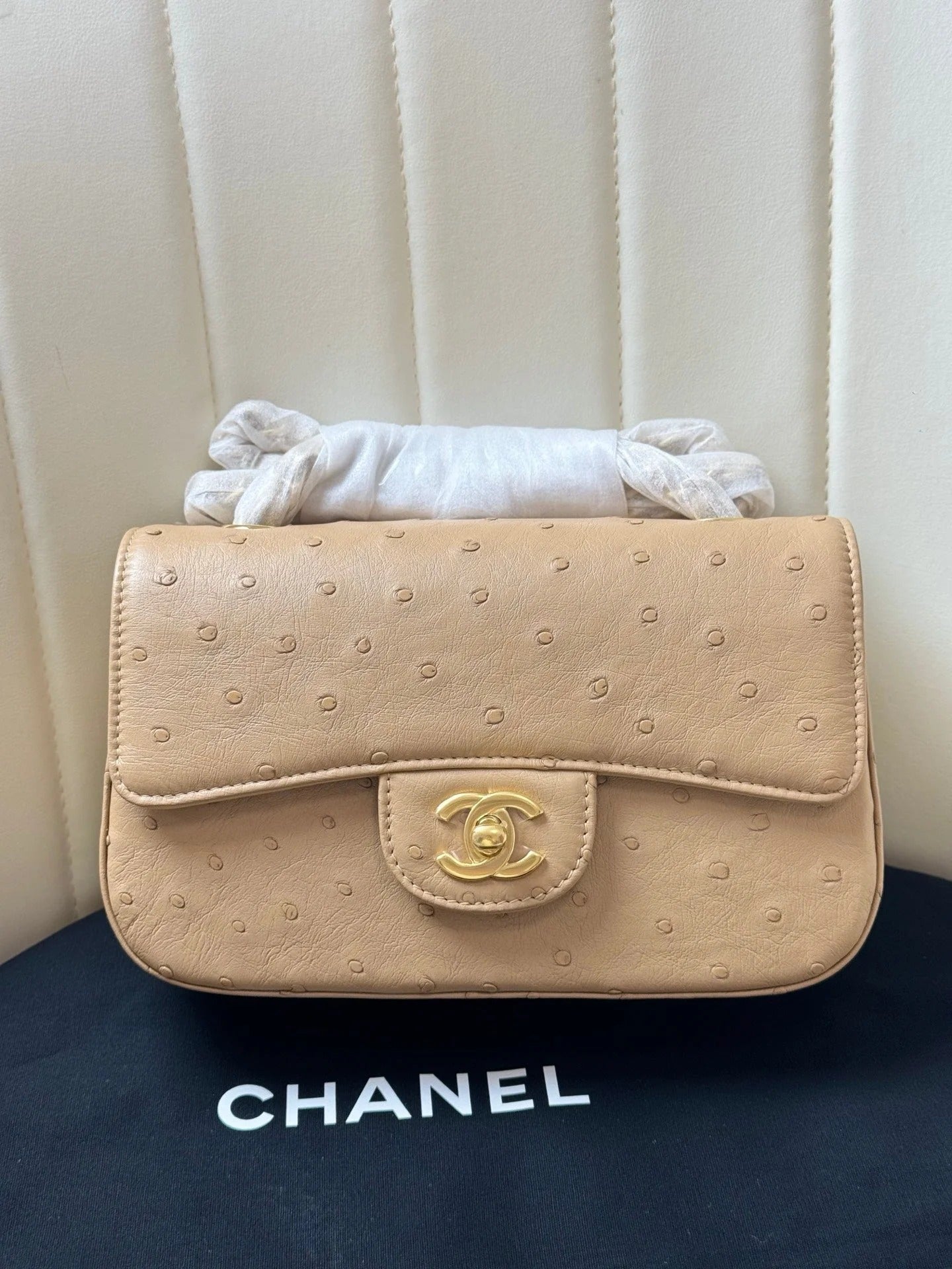 Chanel 2026 Flap Ostrich Embossed Bag 20cm Leather