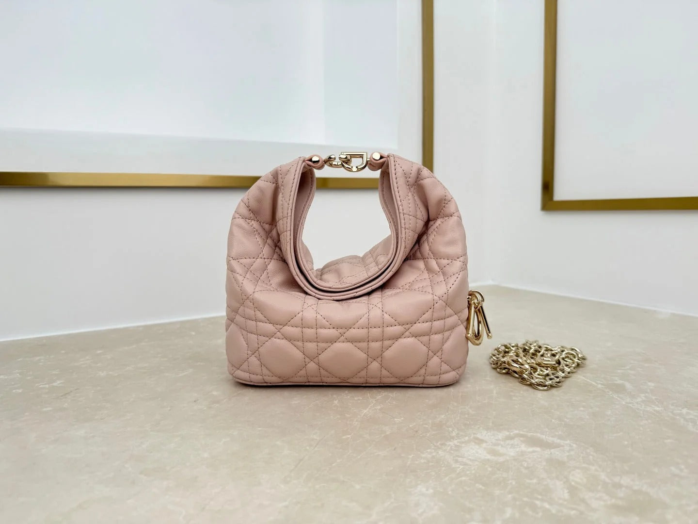 Dior 2026 Toujours Hobo Bag Lambskin